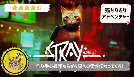 Stray (ストレイ)は視点を人間から猫に変えれば、使い古されたアクションアドベンチャーゲームも一気に印象が変わることが良く分かる作品